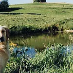 Penzion Zur Moosmuehle 3*