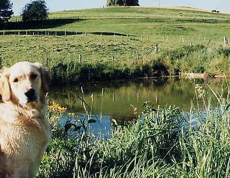 Gasthof Zur Moosmühle 3*